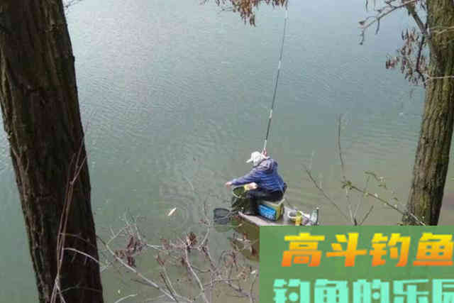 冬天太冷，大板鲫难道就不吃钩？果断尝试这3招