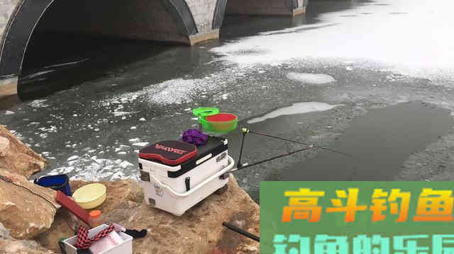 四季钓鱼有法则？傻，鱼不知道秋冬会降温