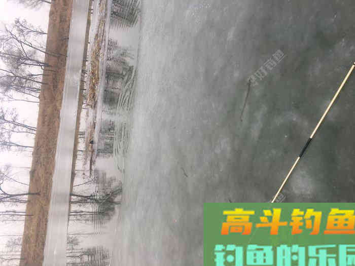 年假隔天钓，鱼获节节高--疫期冬钓总结超长篇