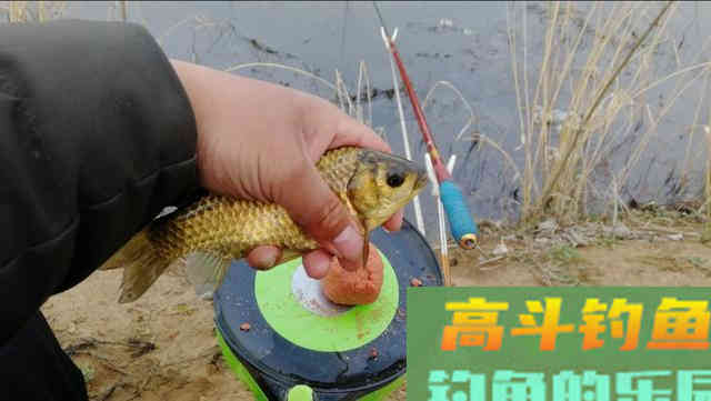 都说春季好钓鱼，为何却还总是渔获寥寥