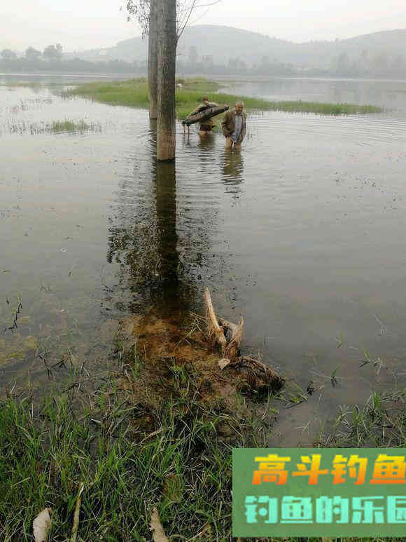春季影响鱼口因素盘点，以变通之道立于不败之地