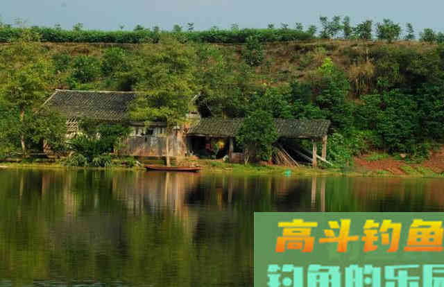 春钓要像钓到鱼，要从钓位、钓具、窝饵、钓法等作手