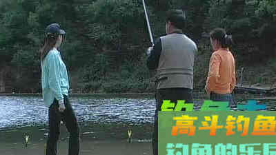 去年夏季还时常爆护，而今年却频频空军，怎么办