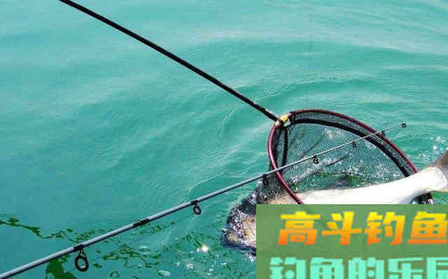 秋季如何垂钓近水
