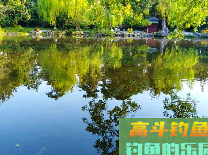夏季钓鲫的7个概念，能让你在夏天更好的钓鱼，钓到大鱼