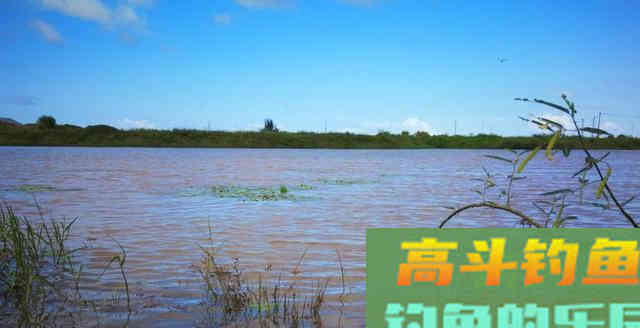 初夏钓鱼，天气如何选？多看天气预报