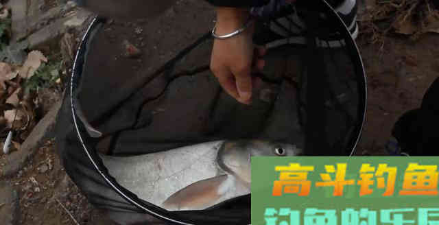 冬钓照搬下面的2个方法，在冬天也能钓上大鱼