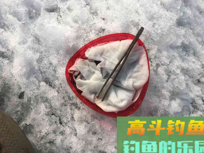 年假隔天钓，鱼获节节高--疫期冬钓总结超长篇