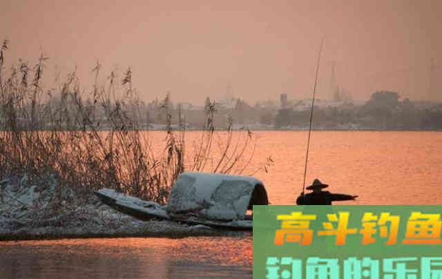 冬季钓鱼，鱼情发生了哪些变化？该如何应对呢