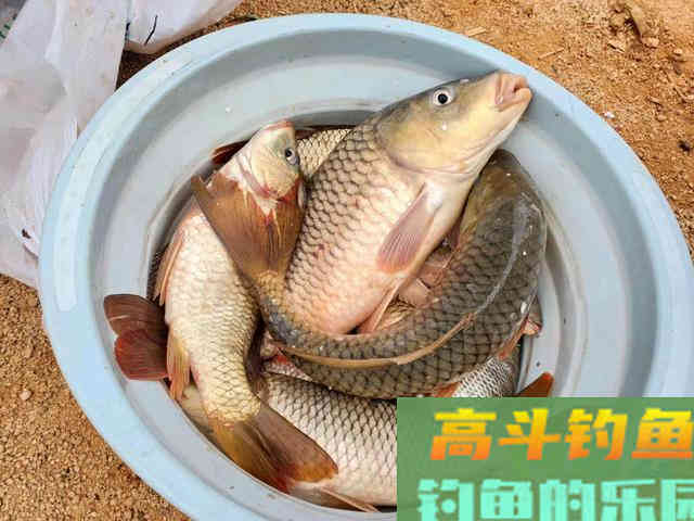夏天钓湾渔获多，几种常见湾子详解，攻略以及技巧分享