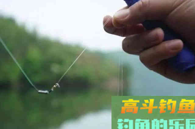 立春后，饵料按我说的用，鱼获瞬间提升好几倍