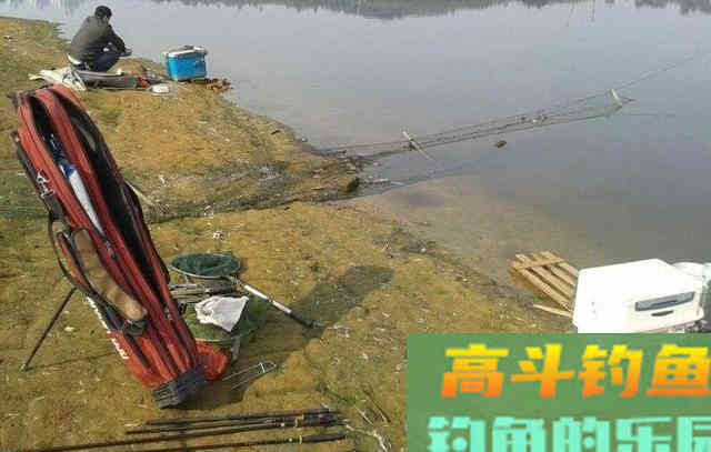 南方的冬天能不能钓鱼，我来告诉你