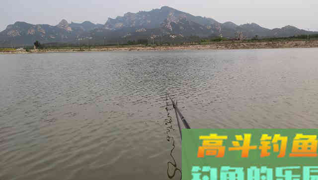 夏季野钓，灵活多变，因鱼施钓