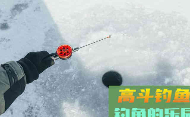 若不改变冬季垂钓的关键因素，真的是白白受冻