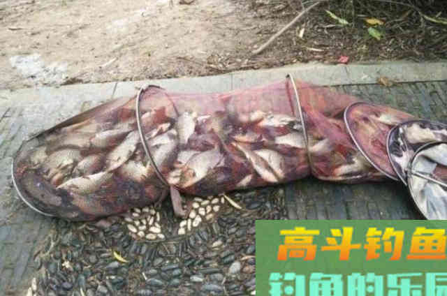 夏季天气热，鱼口就不好了？很庆幸我有这破解招式