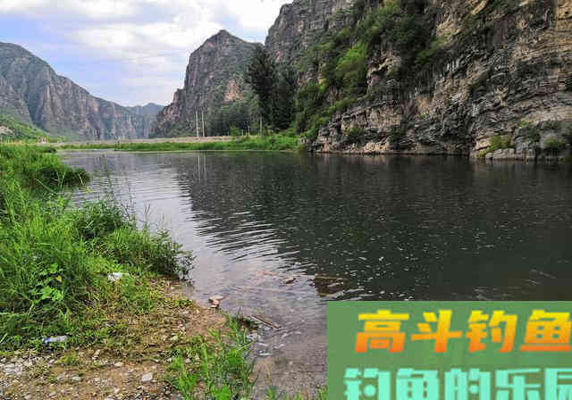 夏季开饵：果酸小药的5种用法