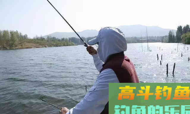 秋天过半，随着温度下降这九种鱼要钓不到了