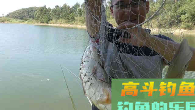 秋季退水钓鱼详解，找准方法钓的都是大鱼