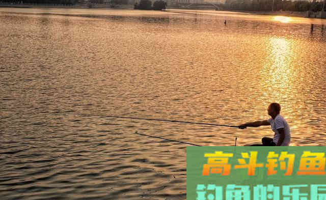 老钓友分享秋钓武昌鱼的三大技巧