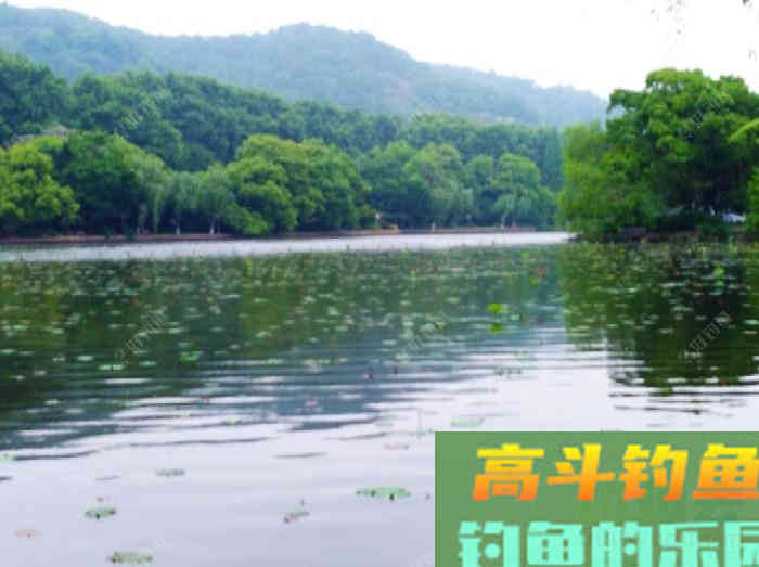 夏季最佳出钓时间、选择钓位，与钓技和饵料方面的解答