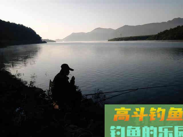 冬天不同天气钓位的选择，掌握后每天都可以钓