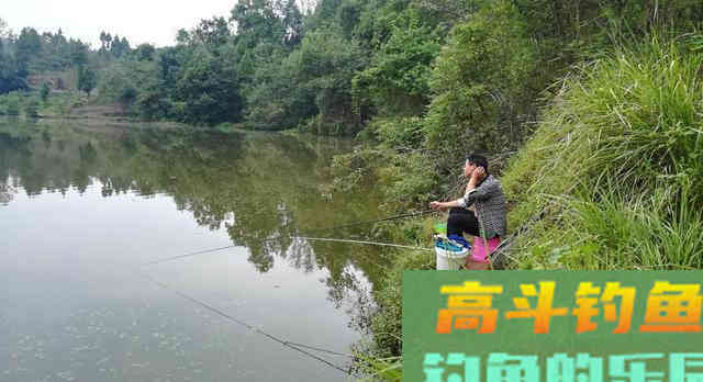 天气转凉要钓深水？不，学会秋钓边，渔获也很不错