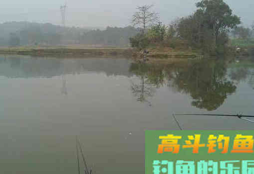 仲春钓近钓远注意这几个细节，可以有效提升渔获