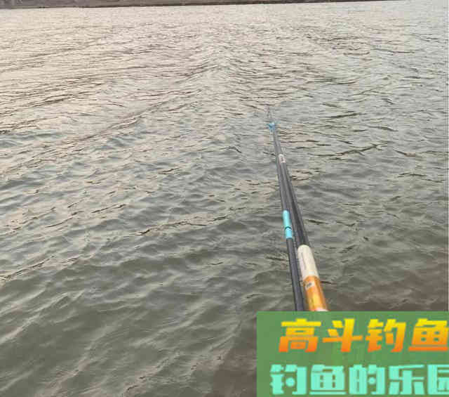 连日“空军”得出经验，这个3月鱼到底该怎么钓