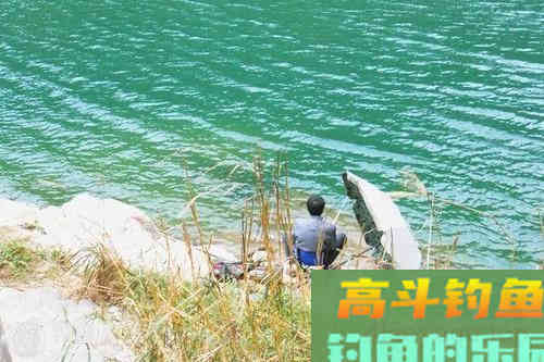 辟谣：秋天的鱼肥好钓？还真不一定；这4点因素太过重要