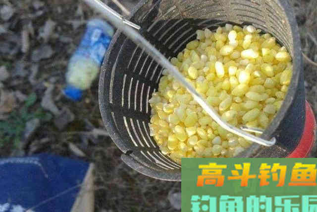 冬钓时，唯独这3种窝料才最实用