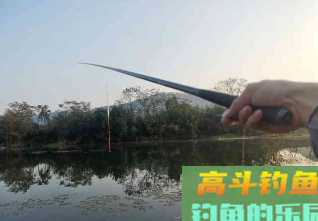 钓鲫鱼却总遇到鲤鱼？春季野钓这样搭配线组，才能大小兼收