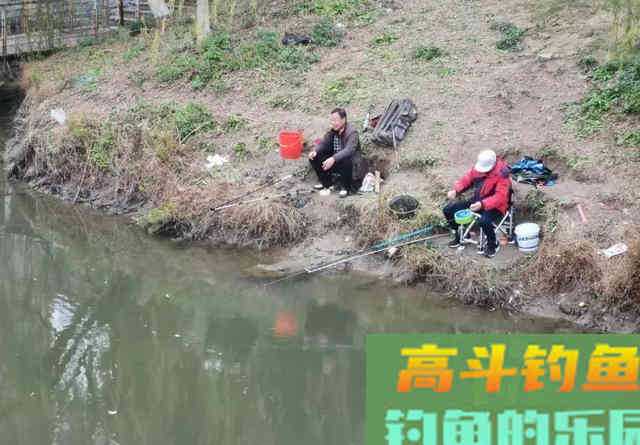 说话是否会惊鱼？春季多钓滩，想收获大鱼还需安静