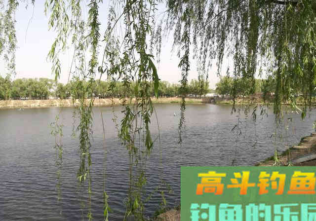 四季钓鱼有法则？傻，鱼不知道秋冬会降温