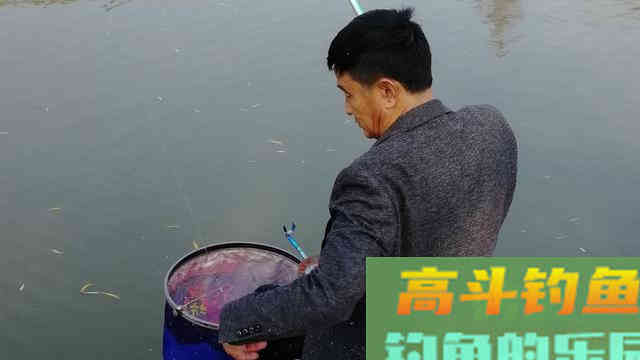 晚秋如何钓好混养塘，先做好这七点