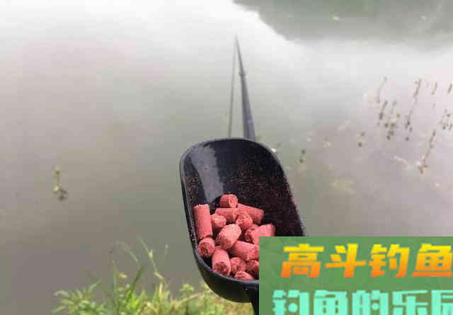 说话是否会惊鱼？春季多钓滩，想收获大鱼还需安静