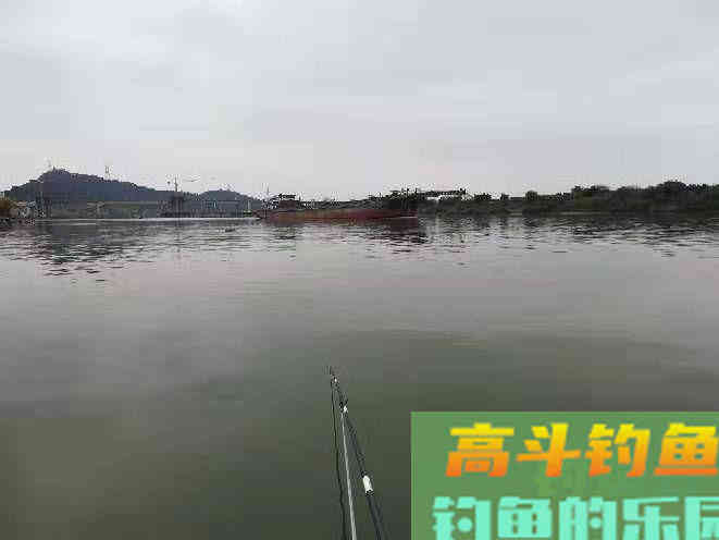 为什么初春上午好钓鱼，下午鱼口差，怎么钓好