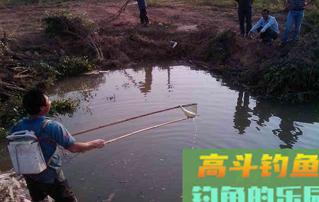 夏季野外钓鱼，遇到这4种情况，别白白浪费窝料