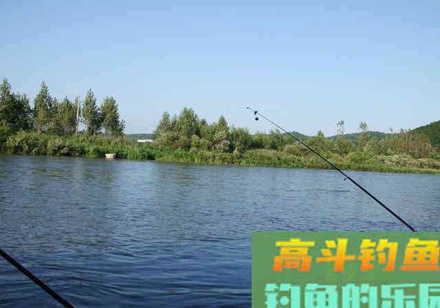 夏季低压天钓鱼，不想剃光头，熟记这4招