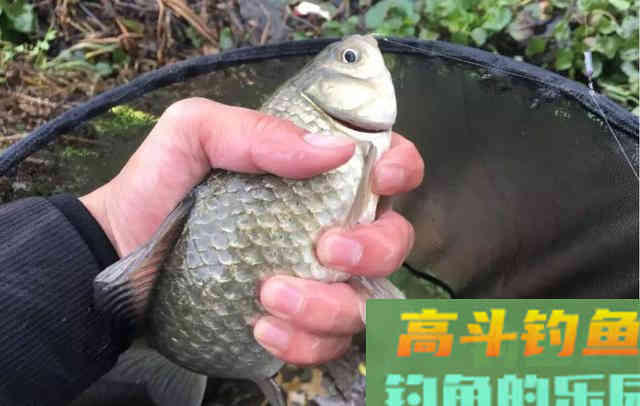 今天冷爆护、等等就有口、他应该没骗我