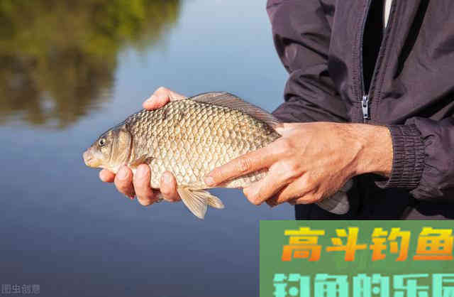 深秋一定要钓深？谣言！这3种情况钓深，鱼都会笑话你