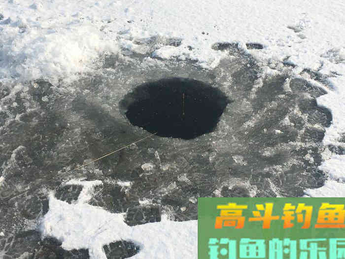 年假隔天钓，鱼获节节高--疫期冬钓总结超长篇