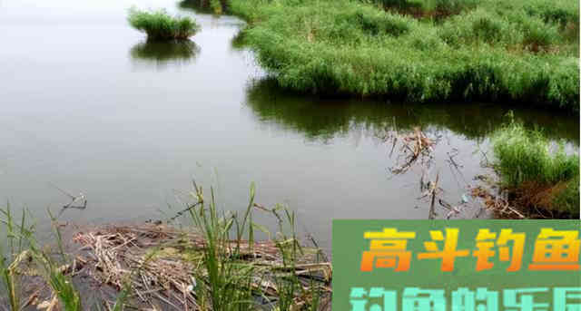 立冬后钓鱼如何不空军？老钓友总结的经验来了