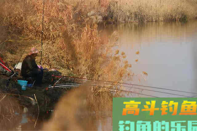 冬钓到底钓深还是钓浅