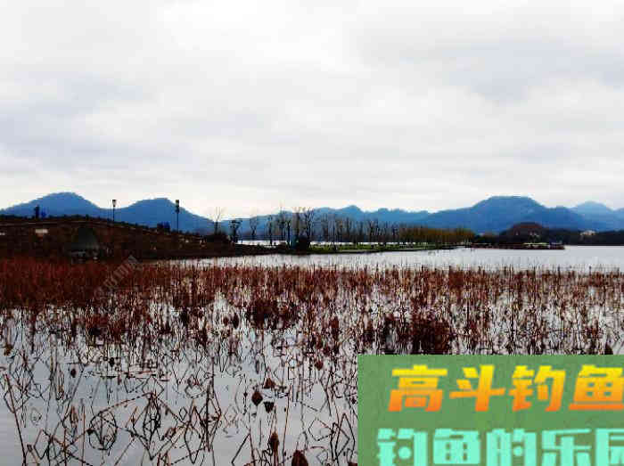 立春到惊蛰，惊蛰到清明等，这段时间钓鱼技巧
