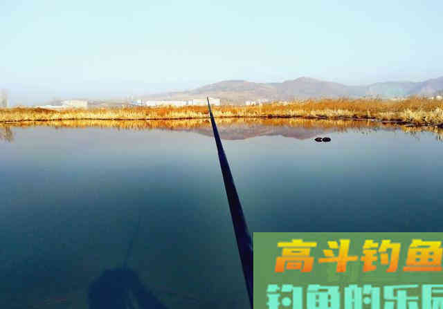 夏季钓鱼5要素，掌握这些钓鱼超级轻松