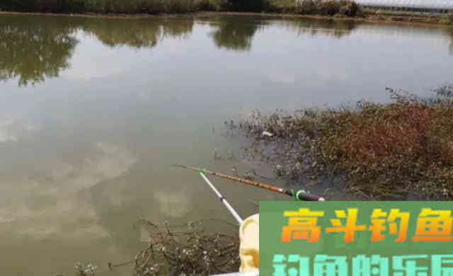 秋天下雨之后，鱼儿都会躲在哪里