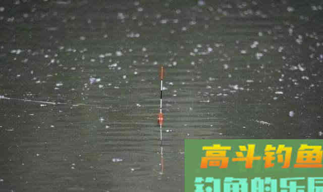冬钓什么天气能爆护不好说，但是这几种情况，钓鱼肯定会光头