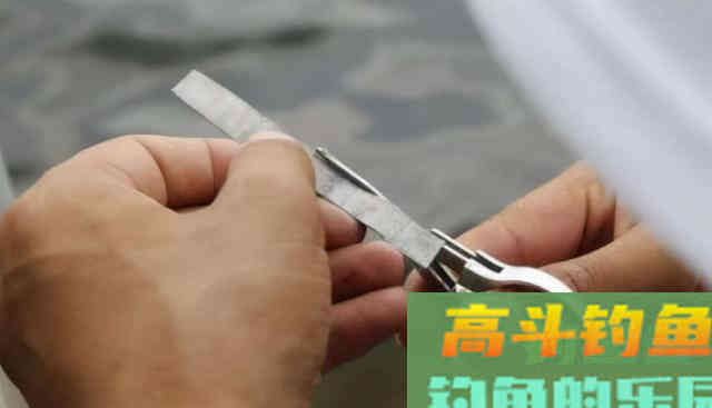 冬季钓鱼为什么很多人选择调平水钓两目
