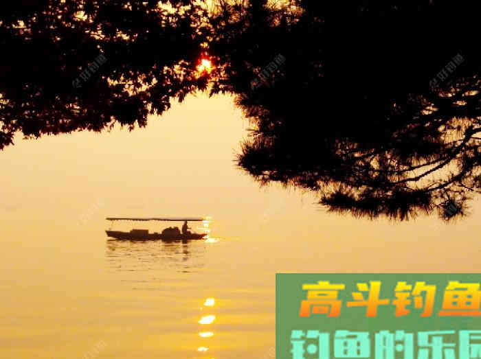 聊：冬钓的若干问题，来自高手的解答