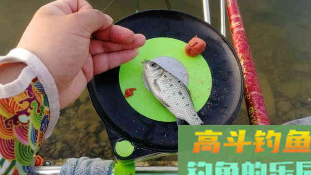 详解夏季最具进攻性钓法——双铅飞铅钓离底